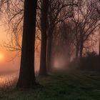 Morgenspaziergang am Kanal