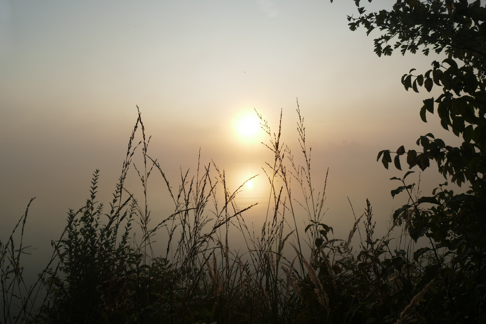 Morgenspaziergang am Lech