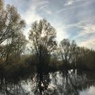 Morgenspaziergang am Möhnesee