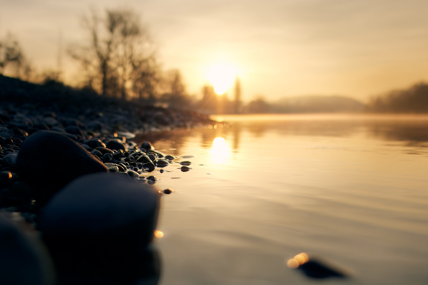 Morgenspaziergang am Rhein