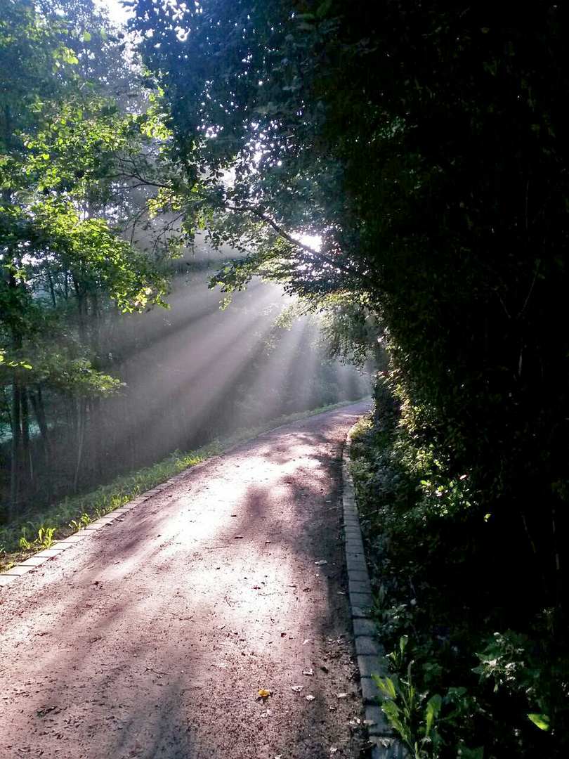 Morgenspaziergang am Rotbach in Hiesfeld.