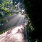 Morgenspaziergang am Rotbach in Hiesfeld.