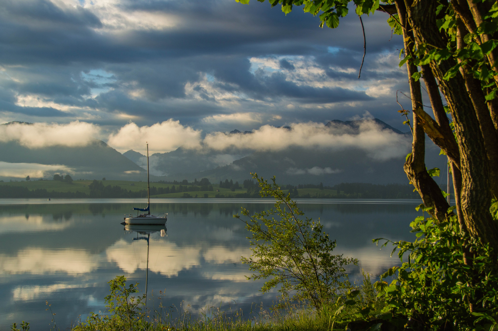 Morgenspaziergang am See 1