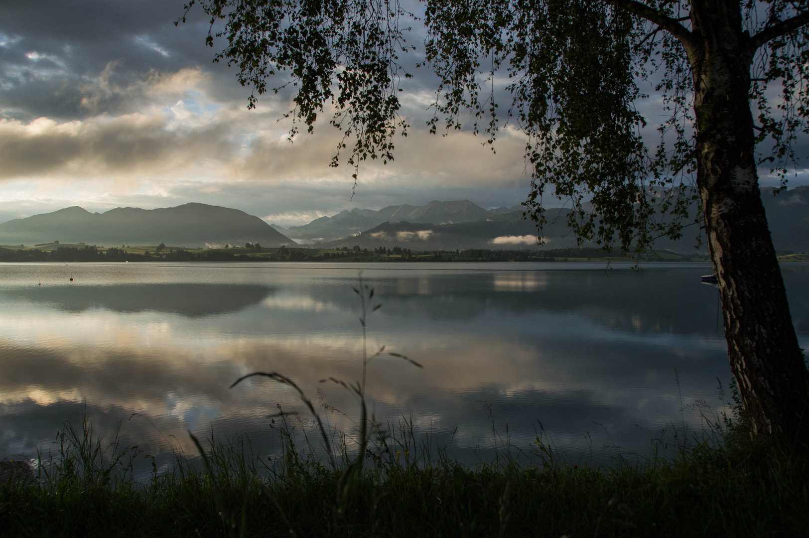 Morgenspaziergang am See 2