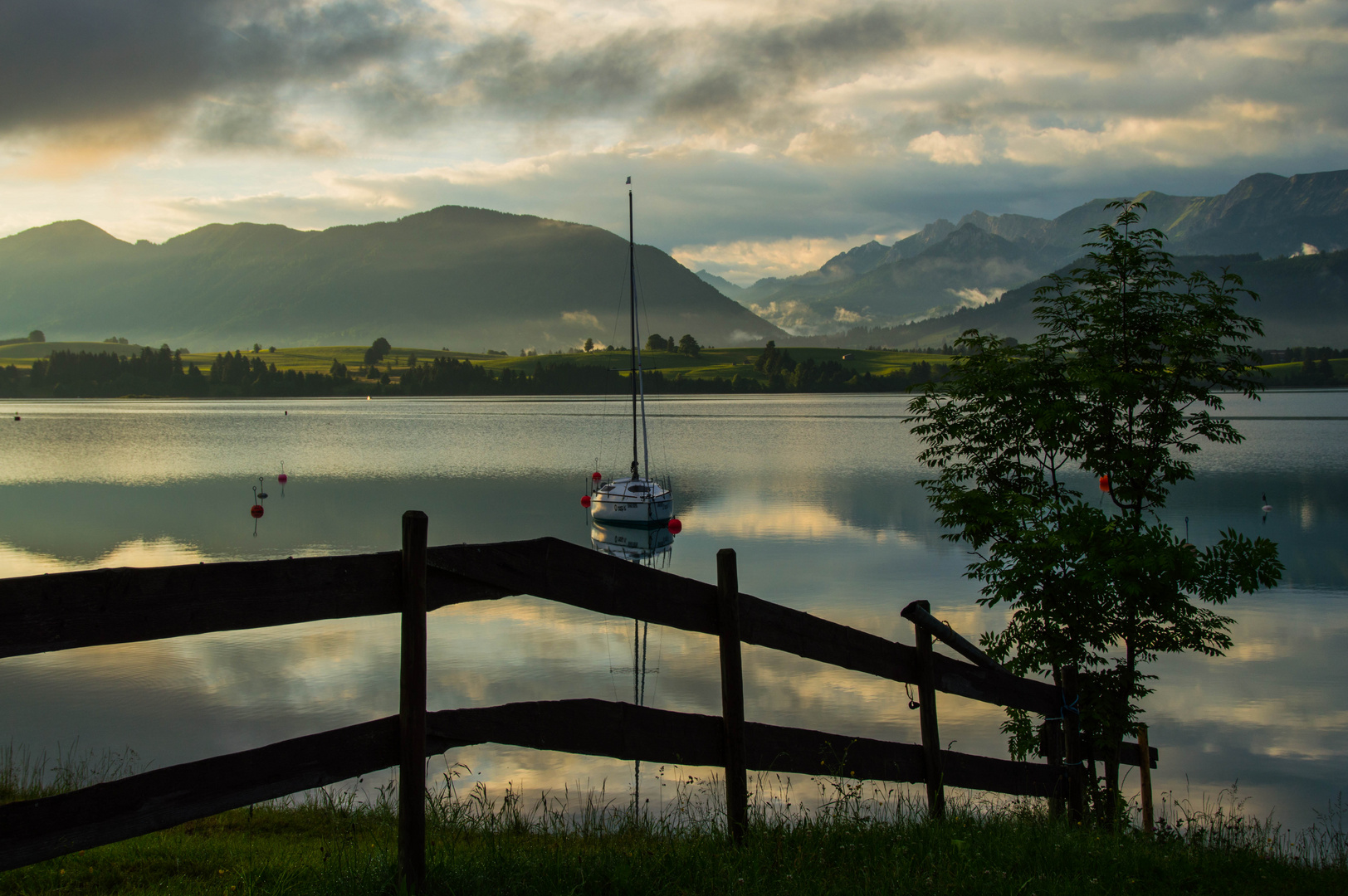 Morgenspaziergang am See 3