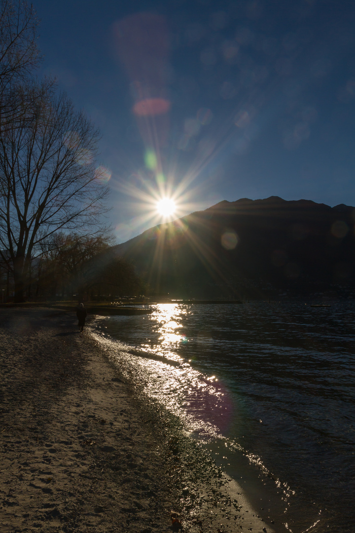 Morgenspaziergang am See