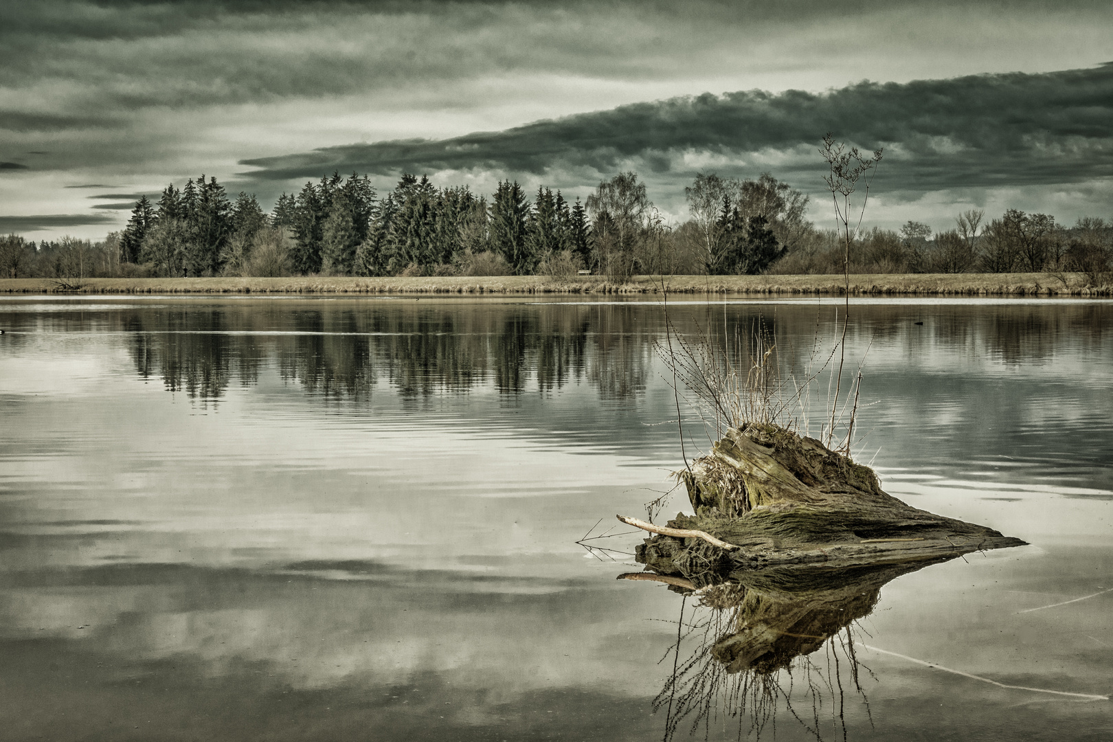 Morgenspaziergang am See