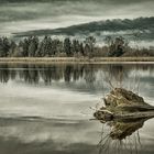 Morgenspaziergang am See