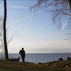 Morgenspaziergang am Starnberger See