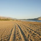 Morgenspaziergang am Strand