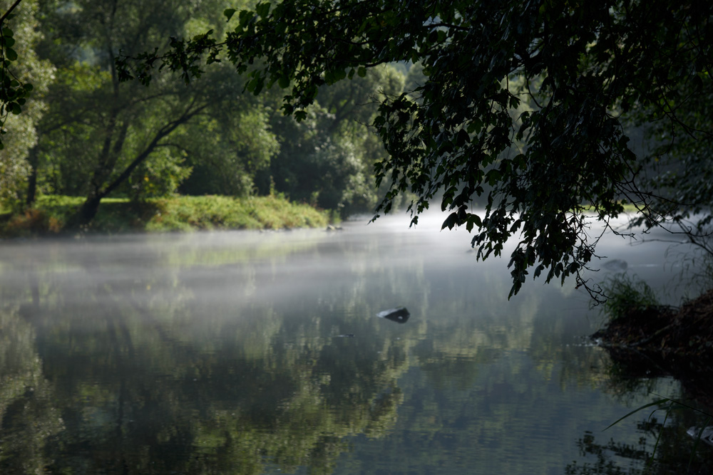 Morgenspaziergang an der Thaya (Dyji)