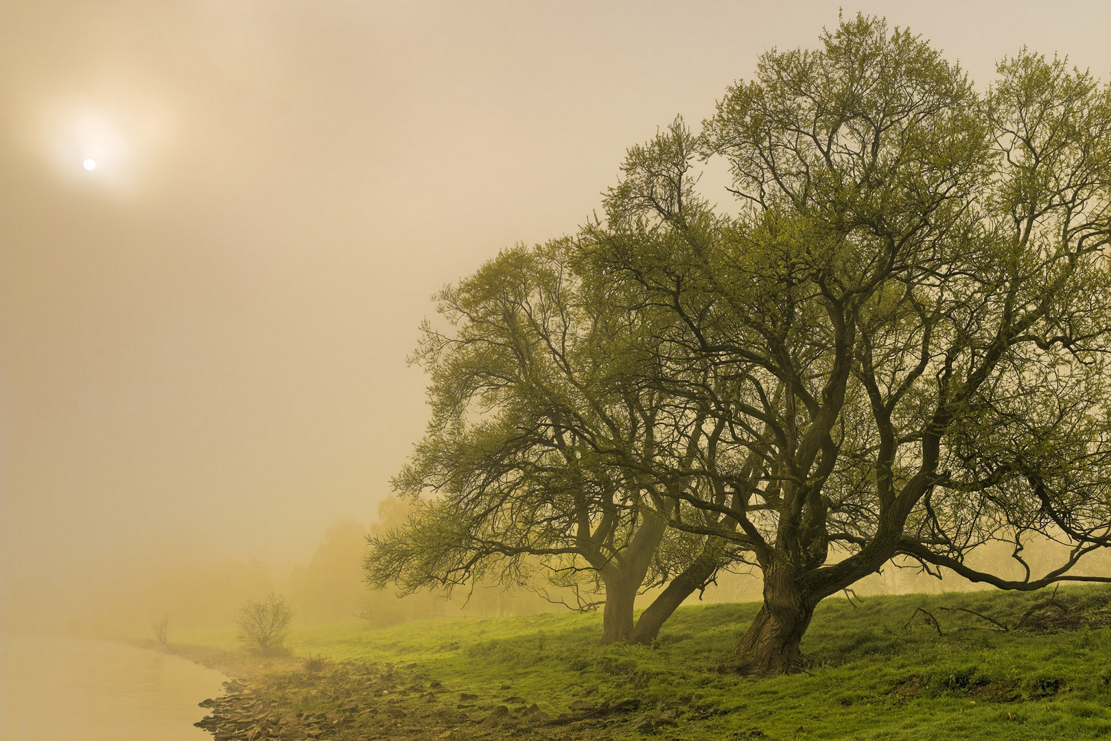 Morgenspaziergang an der Weser bei Rinteln