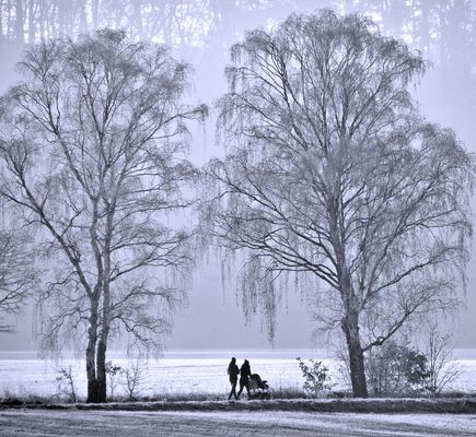 Morgenspaziergang auf dem Ruhrradweg...