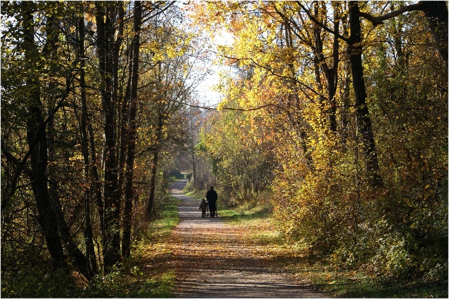 Morgenspaziergang