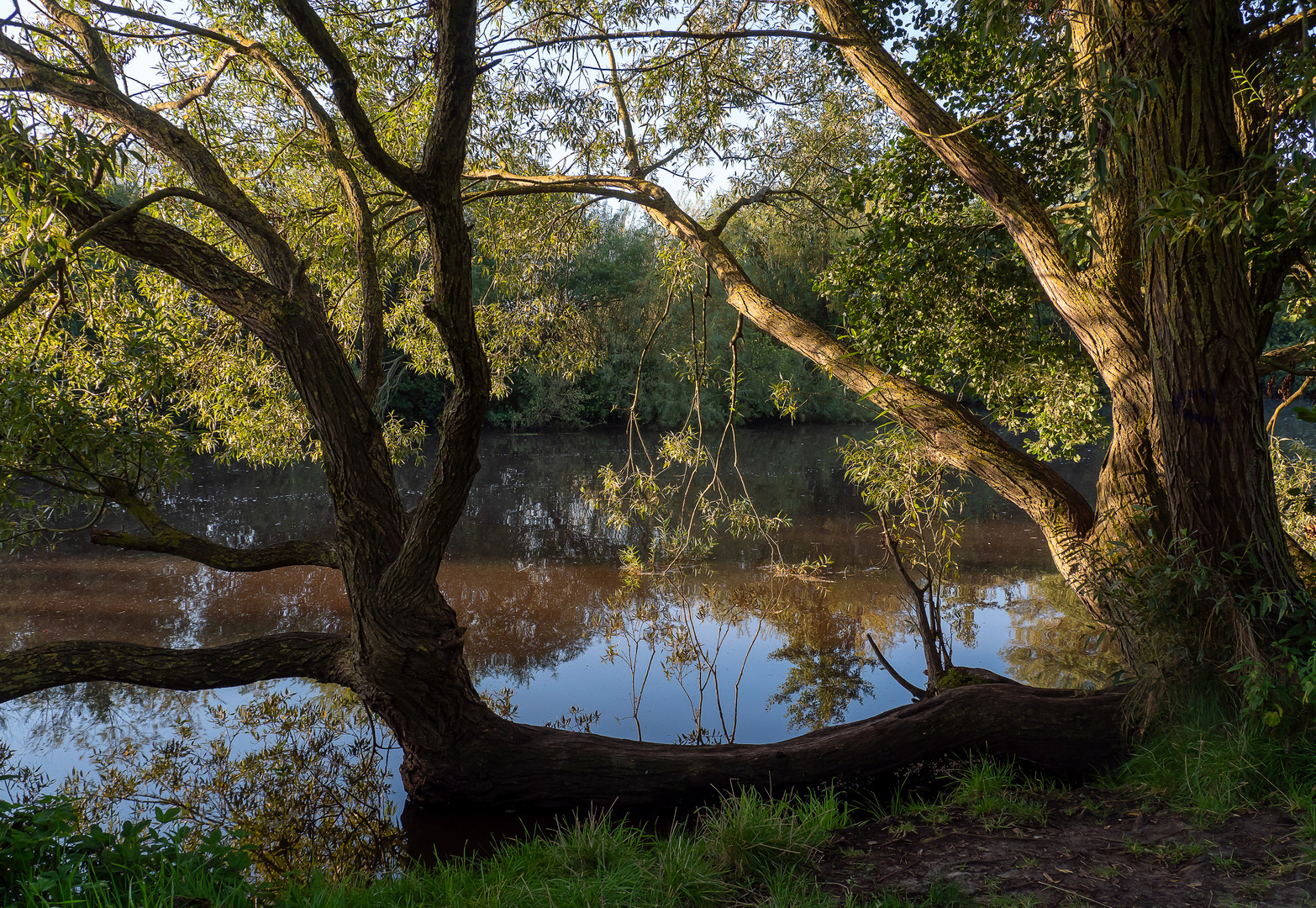 Morgenspaziergang