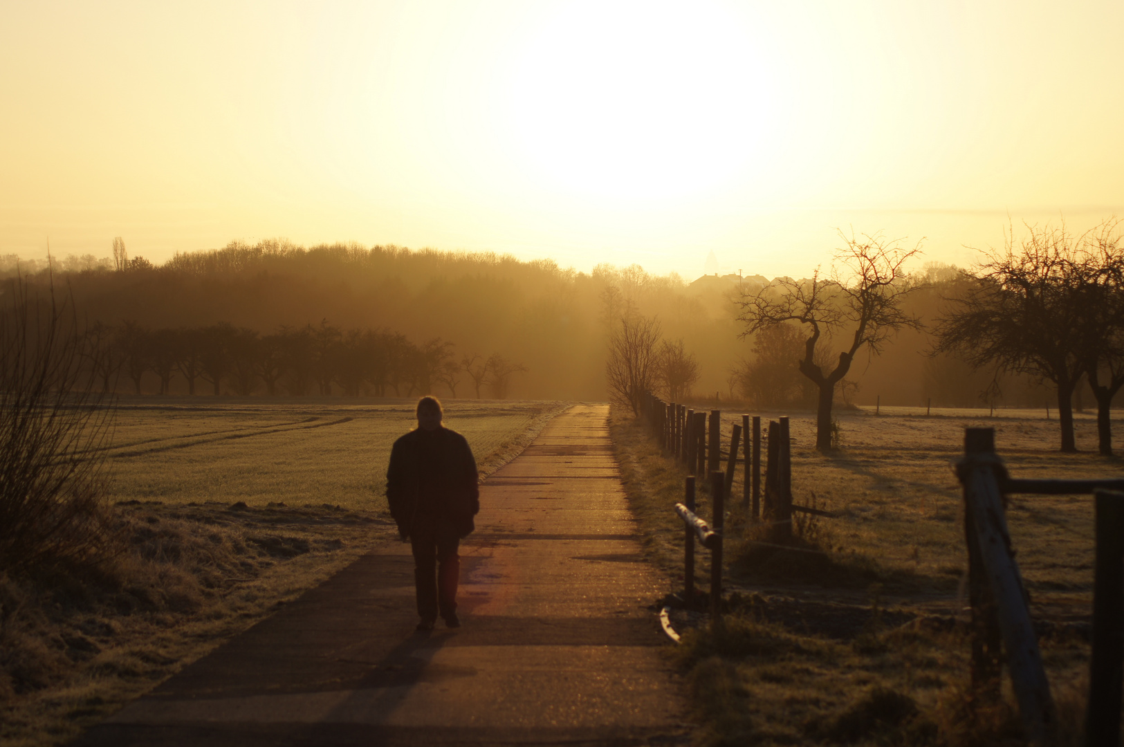 Morgenspaziergang