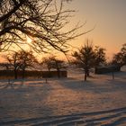 Morgenspaziergang bei -15°