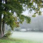 Morgenspaziergang bei Idstein