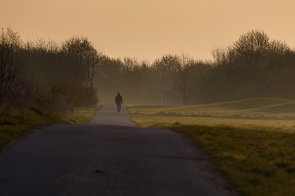 Morgenspaziergang