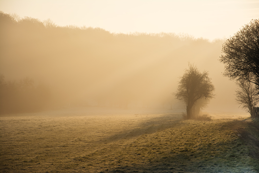 Morgenspaziergang