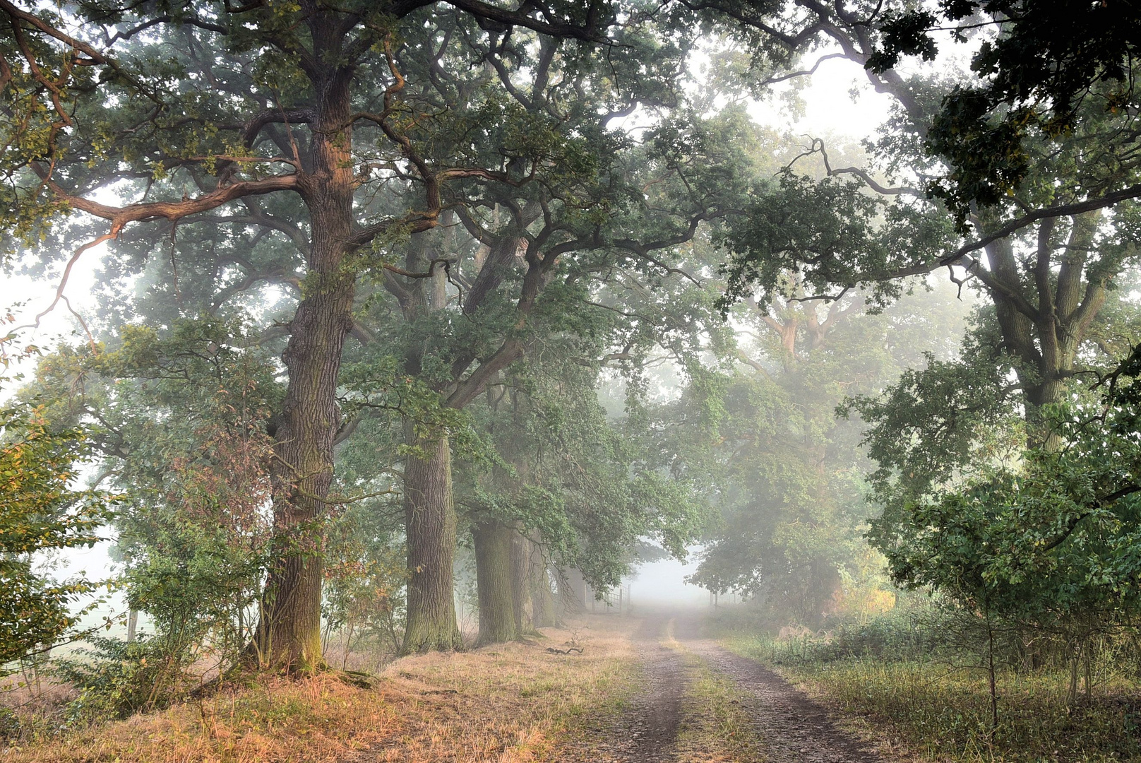 Morgenspaziergang