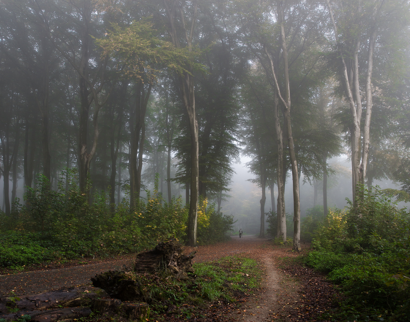 Morgenspaziergang.. 