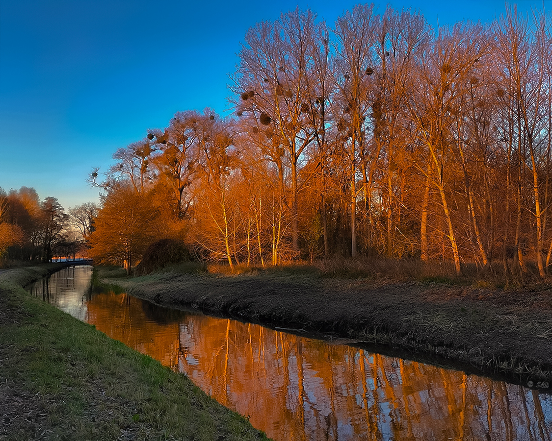 Morgenspaziergang