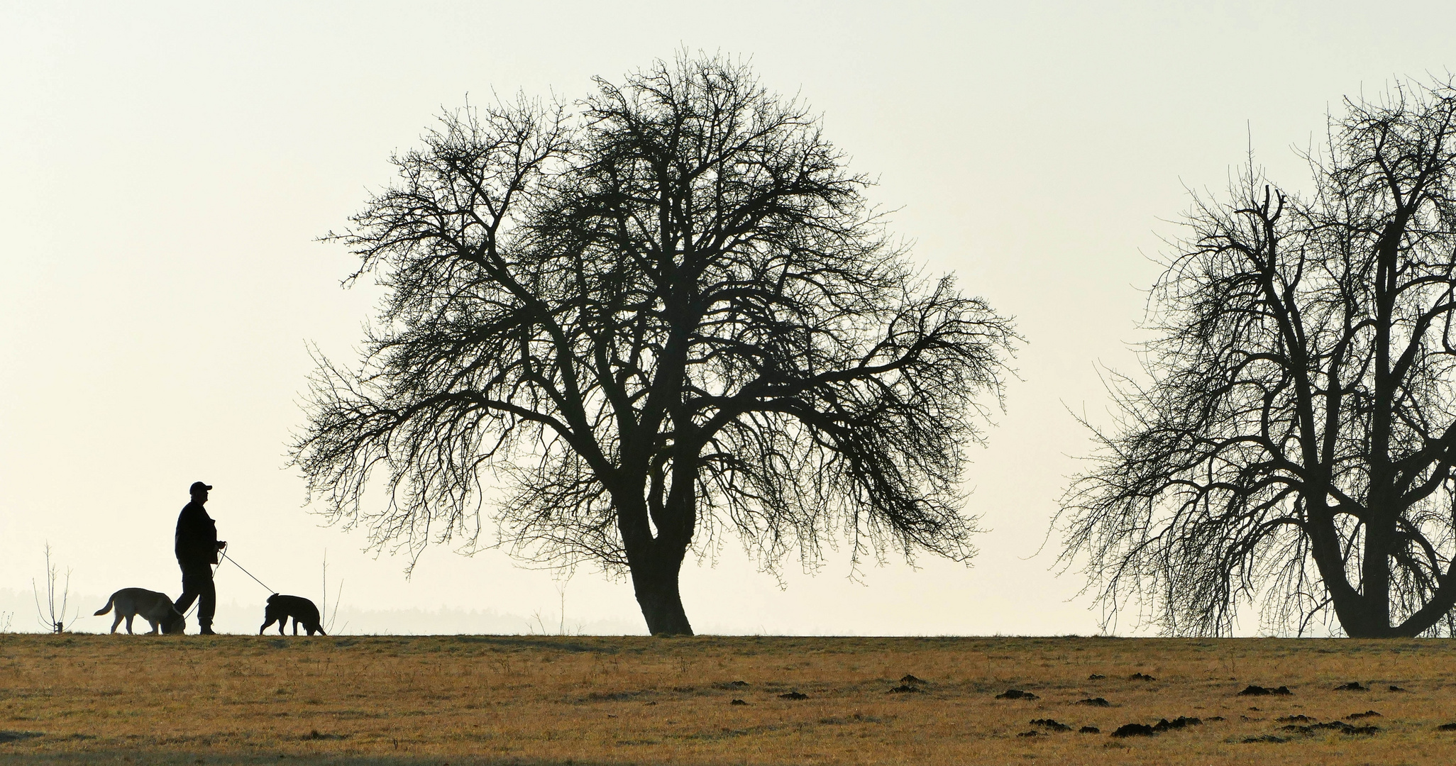 Morgenspaziergang