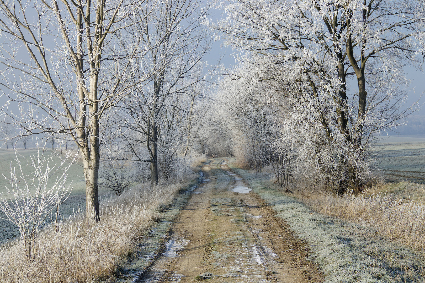 Morgenspaziergang