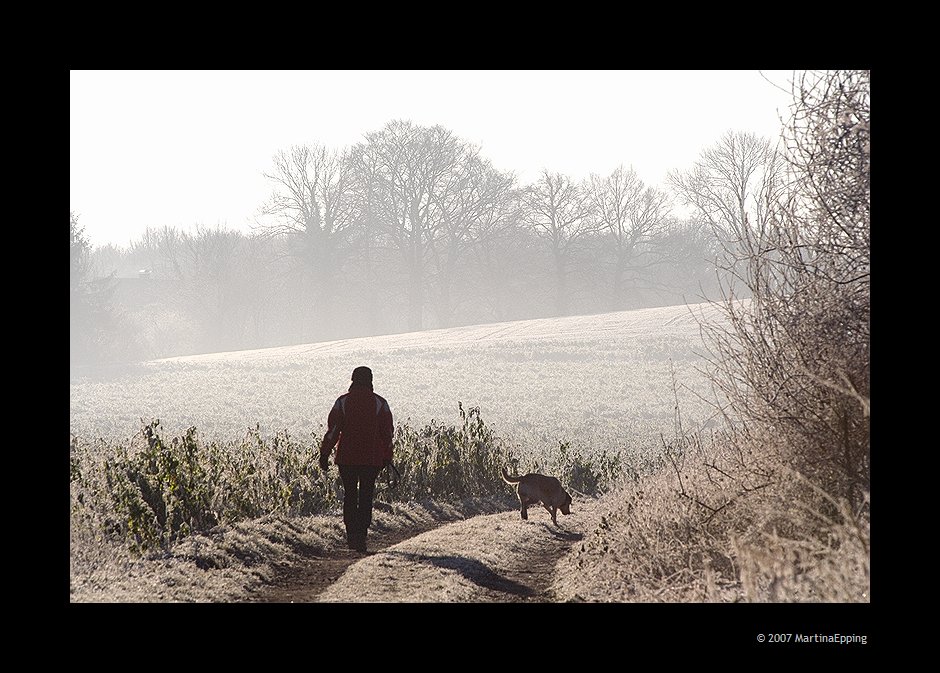 Morgenspaziergang