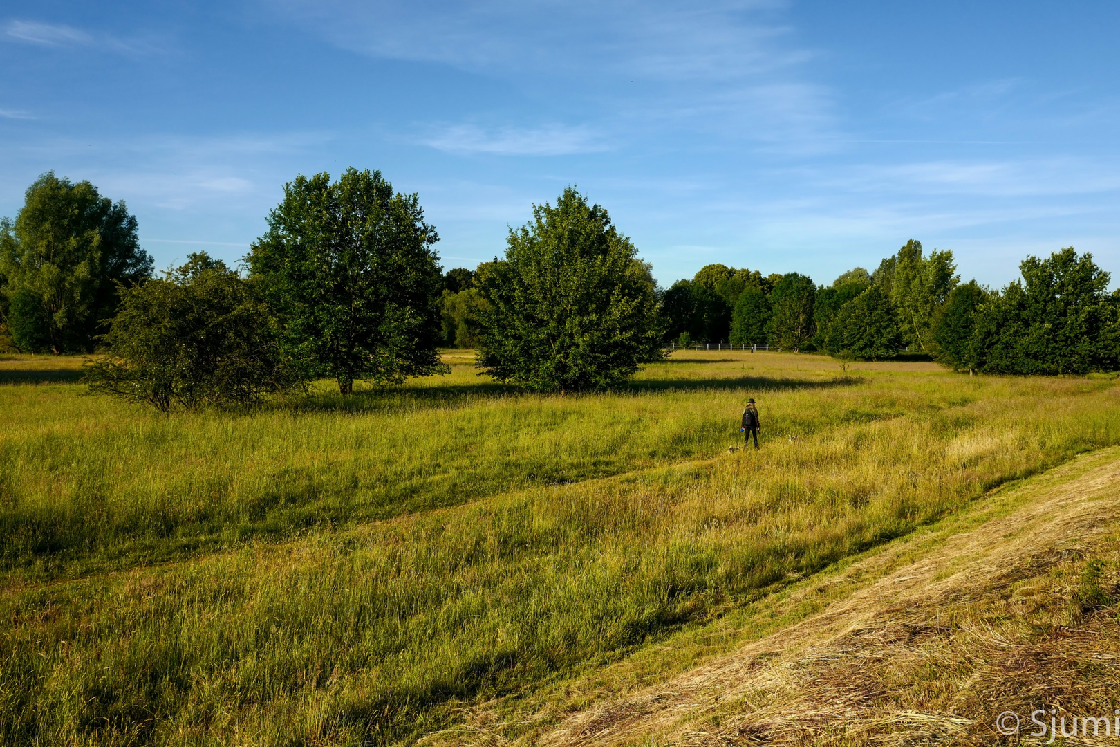 Morgenspaziergang