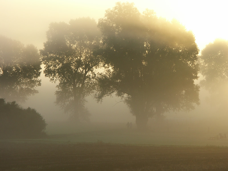 Morgenspaziergang