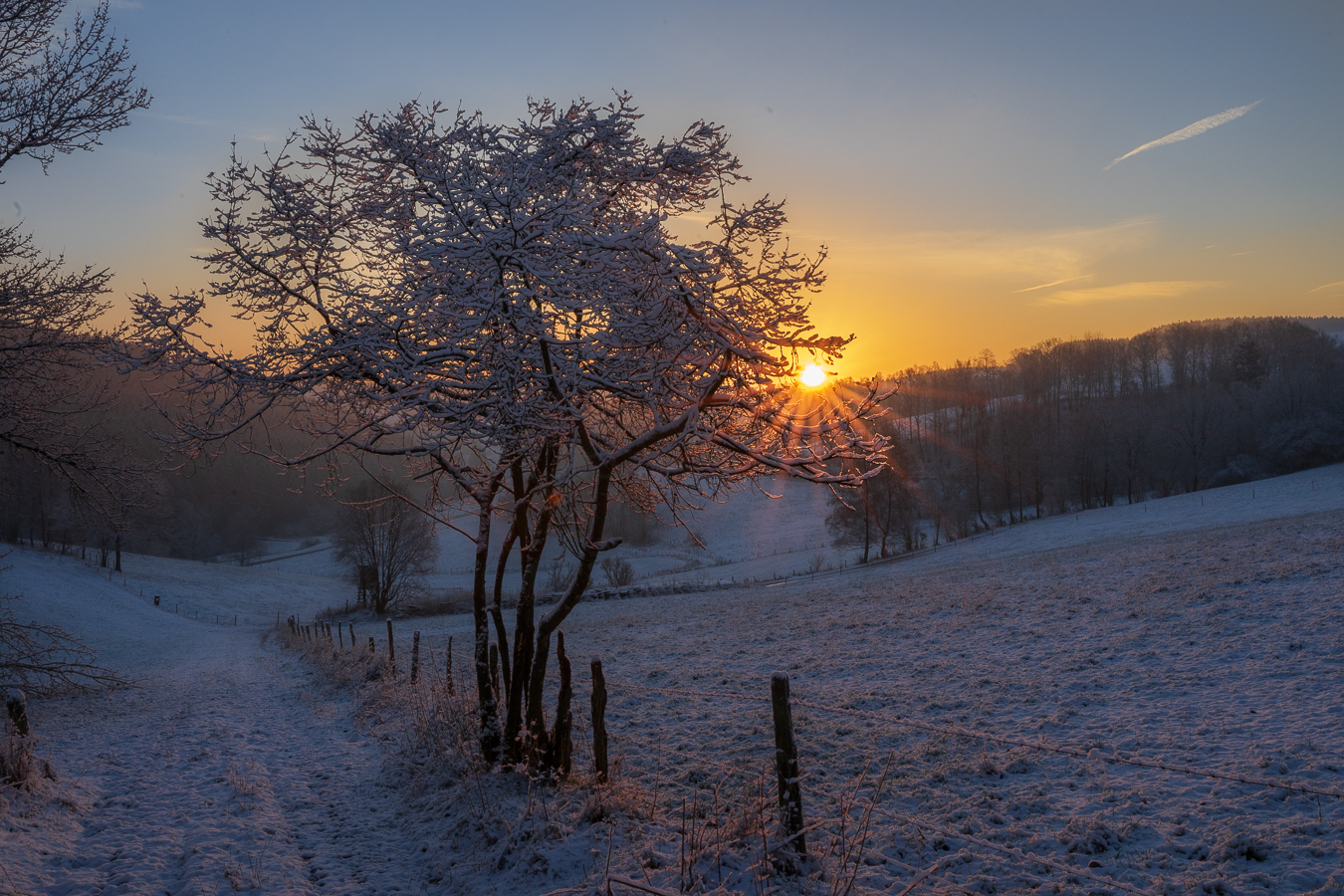 Morgenspaziergang 