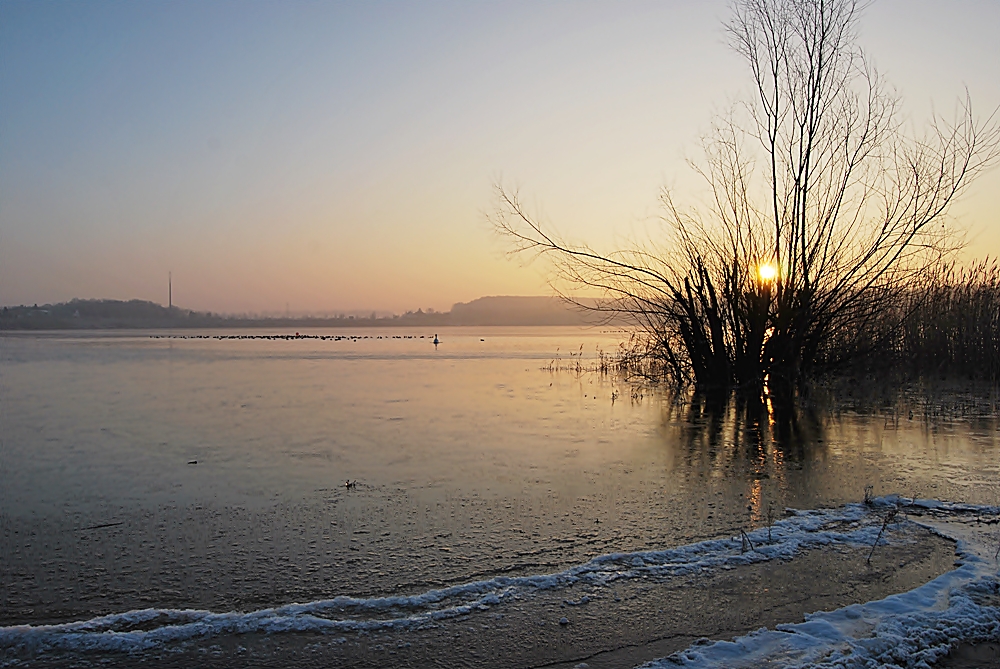 Morgenspaziergang