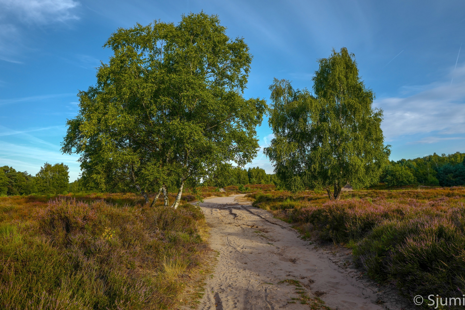 Morgenspaziergang