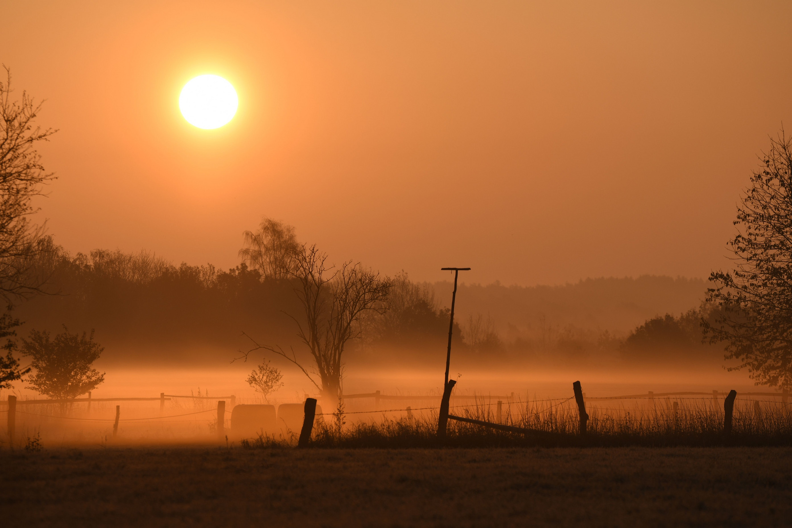 Morgenspaziergang