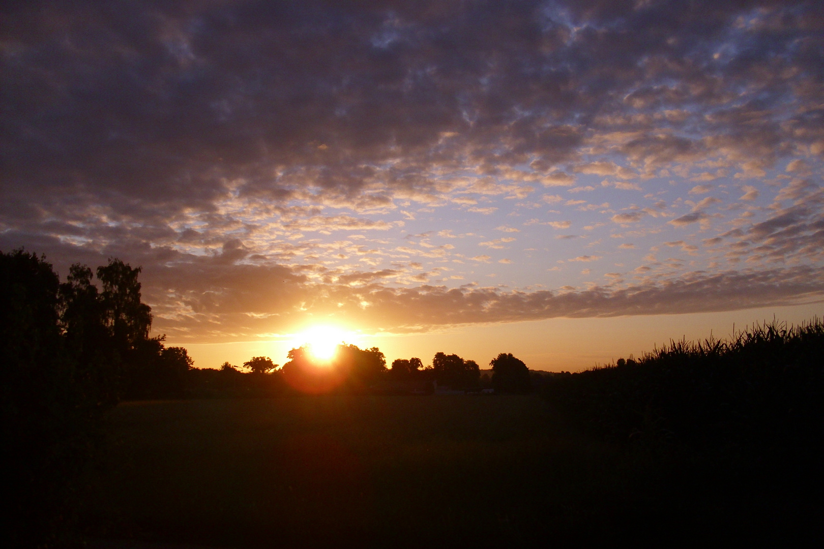 Morgenspaziergang