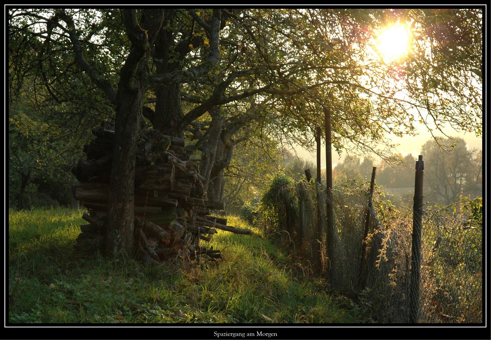 Morgenspaziergang...