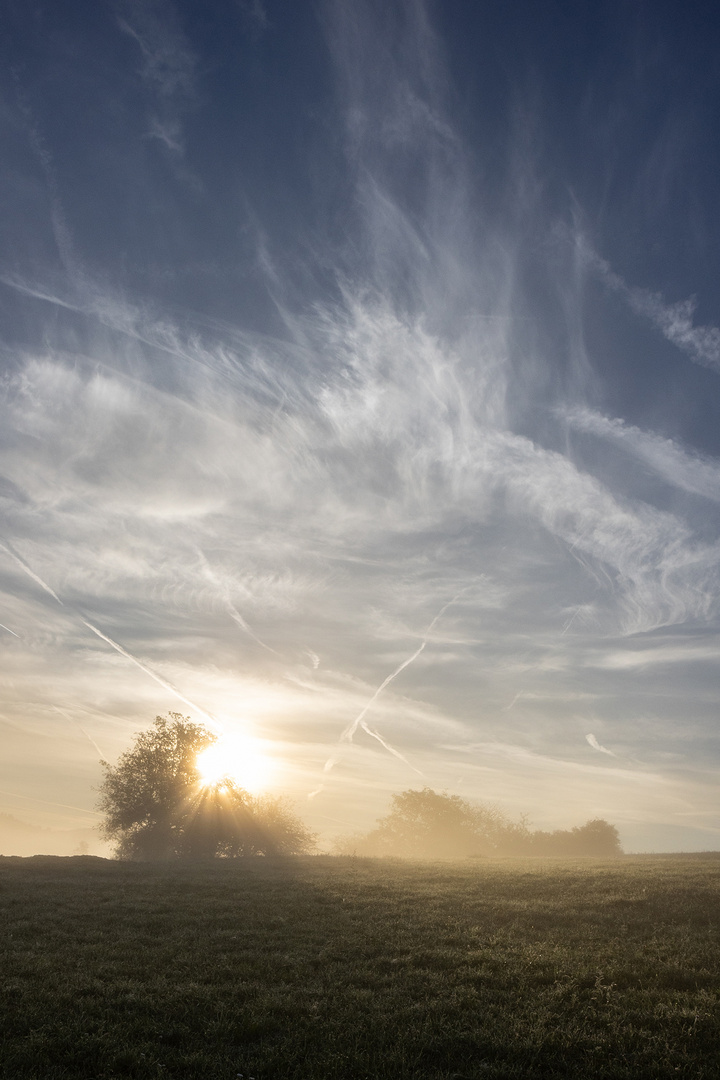 Morgenspaziergang