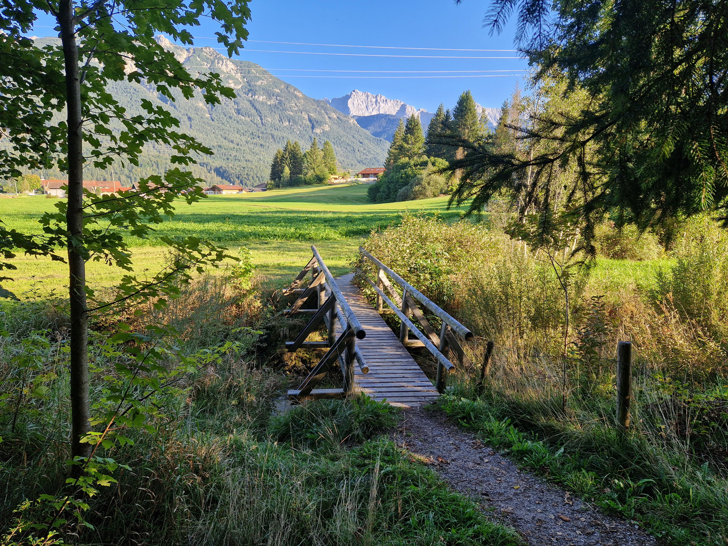 Morgenspaziergang 