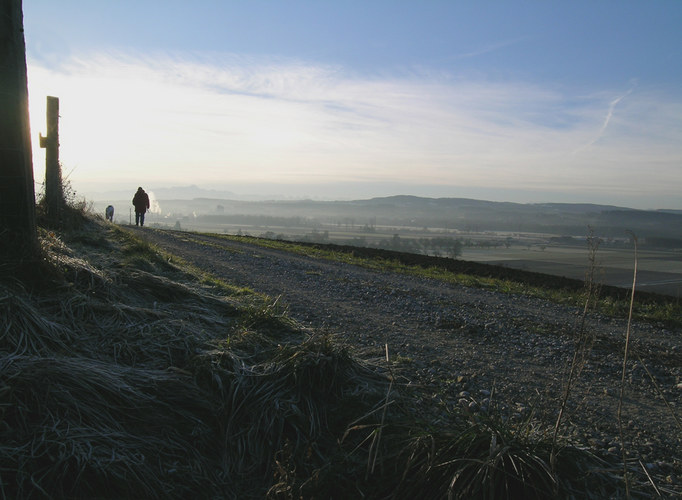 Morgenspaziergang