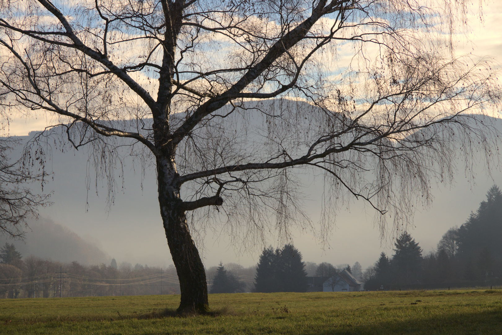 Morgenspaziergang