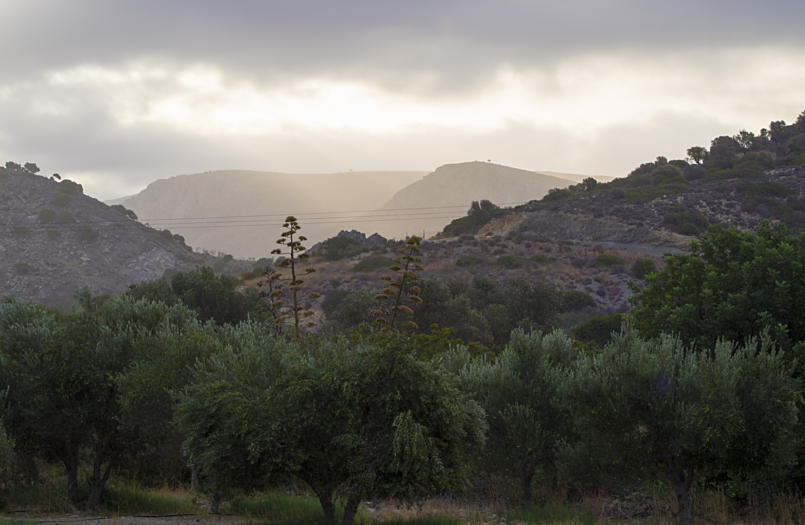 morgenspaziergang