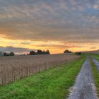 Morgenspaziergang (HDR)