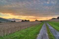 Morgenspaziergang (HDR)