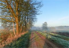 Morgenspaziergang im April 2013