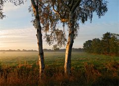 Morgenspaziergang im Bokeler Moor