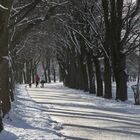 Morgenspaziergang im Februar