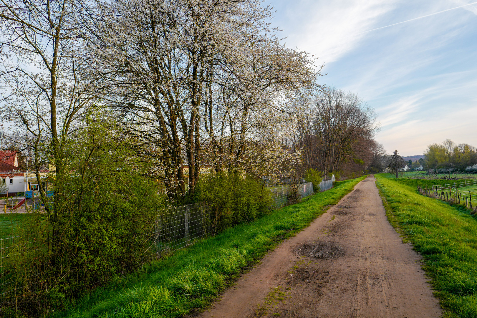 Morgenspaziergang im Frühling