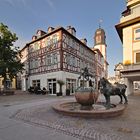 Morgenspaziergang im Mai durch Alzey